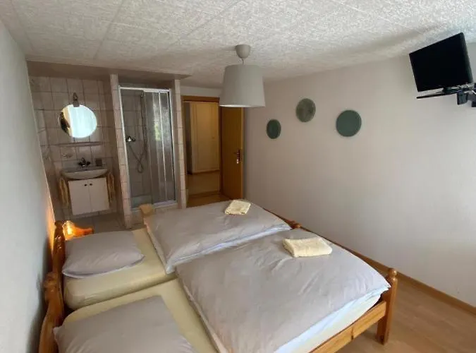 Hotel-restaurant Des 3 Coeurs Hotel